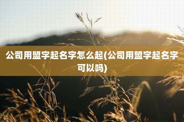 公司用盟字起名字怎么起(公司用盟字起名字可以吗)