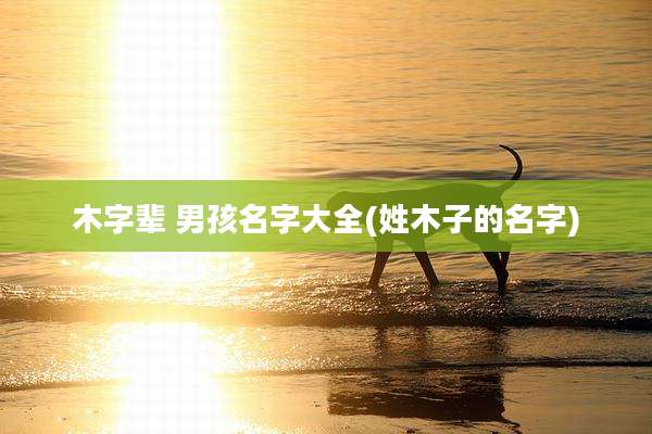 木字辈 男孩名字大全(姓木子的名字)