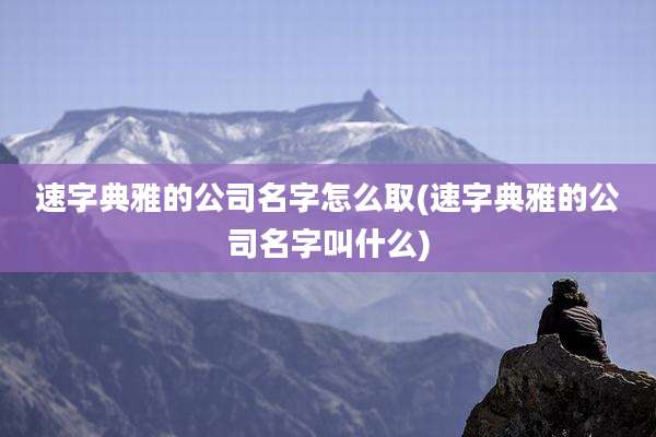 速字典雅的公司名字怎么取(速字典雅的公司名字叫什么)