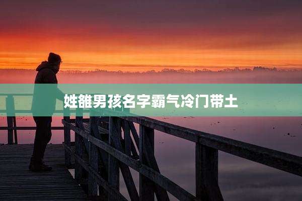 姓雒男孩名字霸气冷门带土