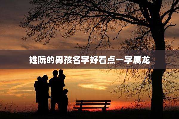姓阮的男孩名字好看点一字属龙