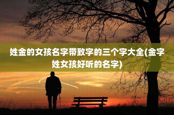姓金的女孩名字带致字的三个字大全(金字姓女孩好听的名字)