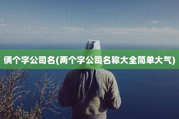 俩个字公司名(两个字公司名称大全简单大气)