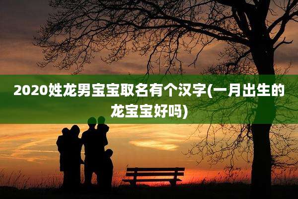 2020姓龙男宝宝取名有个汉字(一月出生的龙宝宝好吗)