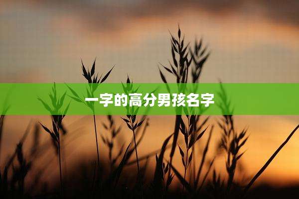 一字的高分男孩名字