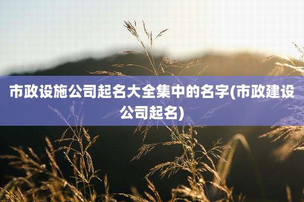 市政设施公司起名大全集中的名字(市政建设公司起名)