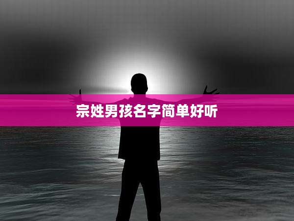 宗姓男孩名字简单好听