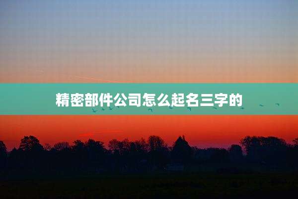精密部件公司怎么起名三字的
