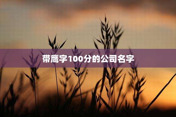 带鹰字100分的公司名字