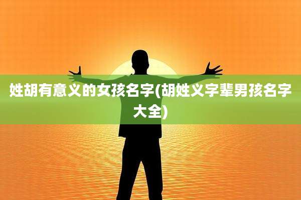 姓胡有意义的女孩名字(胡姓义字辈男孩名字大全)