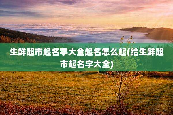生鲜超市起名字大全起名怎么起(给生鲜超市起名字大全)