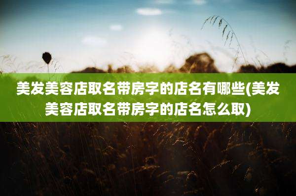 美发美容店取名带房字的店名有哪些(美发美容店取名带房字的店名怎么取)