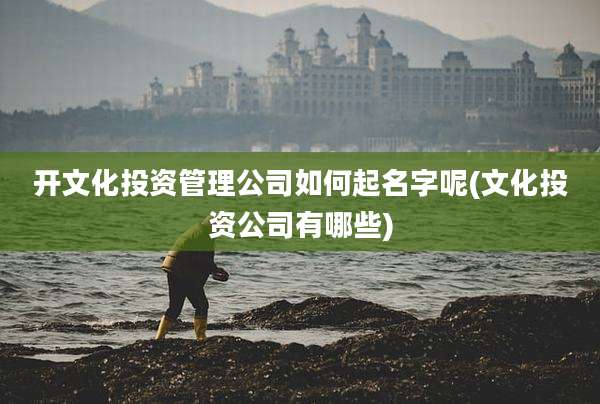开文化投资管理公司如何起名字呢(文化投资公司有哪些)