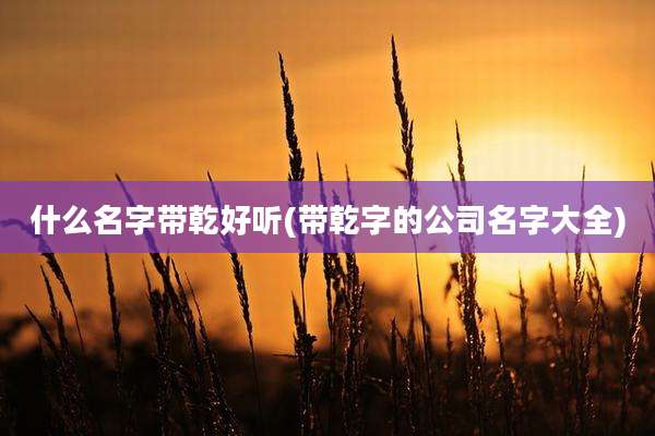 什么名字带乾好听(带乾字的公司名字大全)