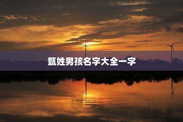 甄姓男孩名字大全一字