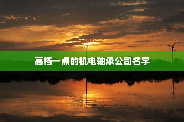 高档一点的机电轴承公司名字