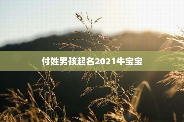 付姓男孩起名2021牛宝宝