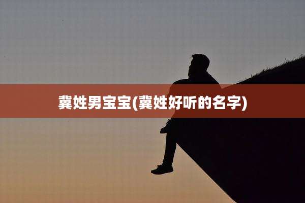 冀姓男宝宝(冀姓好听的名字)