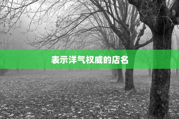 表示洋气权威的店名