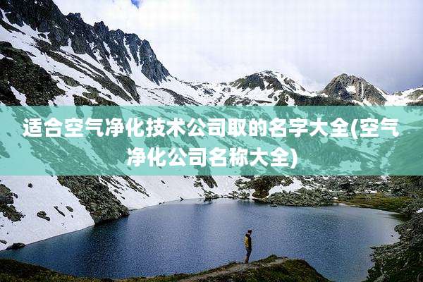 适合空气净化技术公司取的名字大全(空气净化公司名称大全)