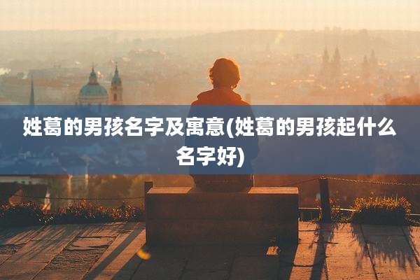 姓葛的男孩名字及寓意(姓葛的男孩起什么名字好)