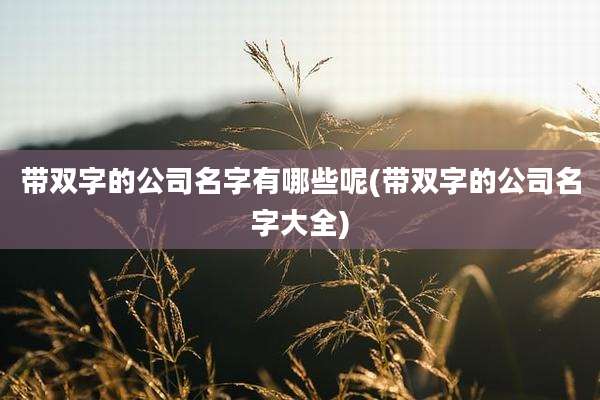 带双字的公司名字有哪些呢(带双字的公司名字大全)
