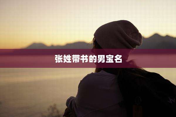 张姓带书的男宝名