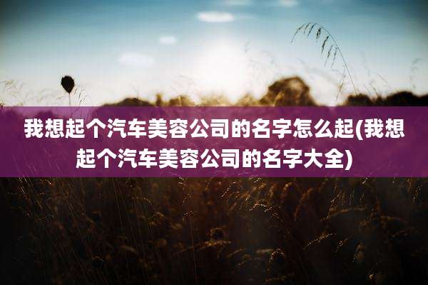我想起个汽车美容公司的名字怎么起(我想起个汽车美容公司的名字大全)