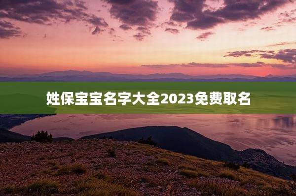 姓保宝宝名字大全2023免费取名