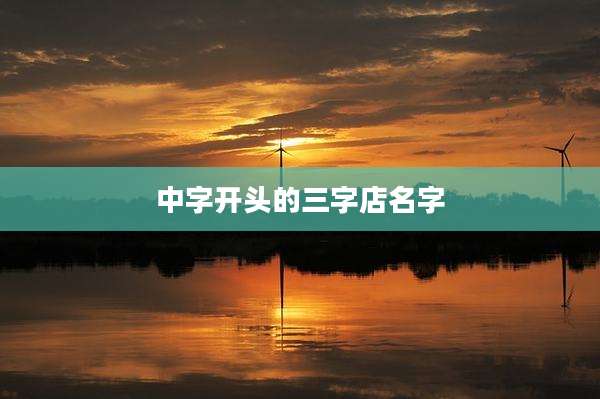 中字开头的三字店名字