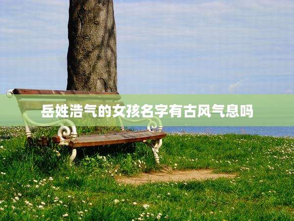 岳姓浩气的女孩名字有古风气息吗