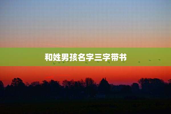 和姓男孩名字三字带书