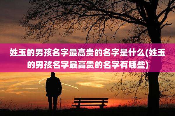 姓玉的男孩名字最高贵的名字是什么(姓玉的男孩名字最高贵的名字有哪些)