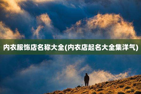 内衣服饰店名称大全(内衣店起名大全集洋气)