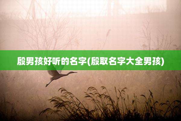 殷男孩好听的名字(殷取名字大全男孩)