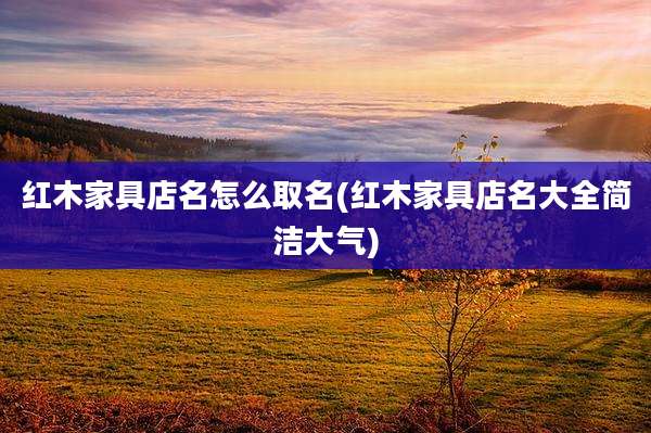 红木家具店名怎么取名(红木家具店名大全简洁大气)