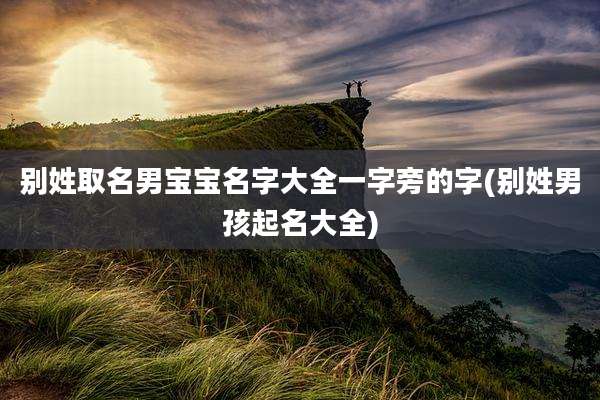 别姓取名男宝宝名字大全一字旁的字(别姓男孩起名大全)