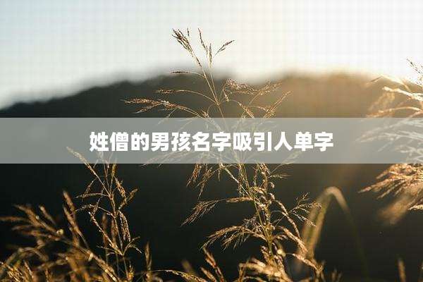 姓僧的男孩名字吸引人单字