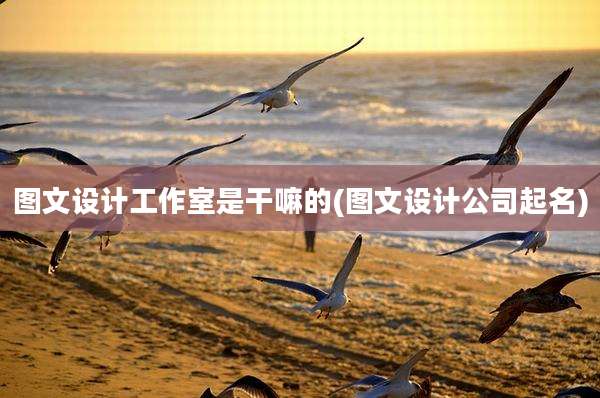 图文设计工作室是干嘛的(图文设计公司起名)