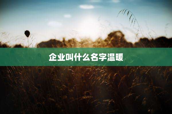 企业叫什么名字温暖