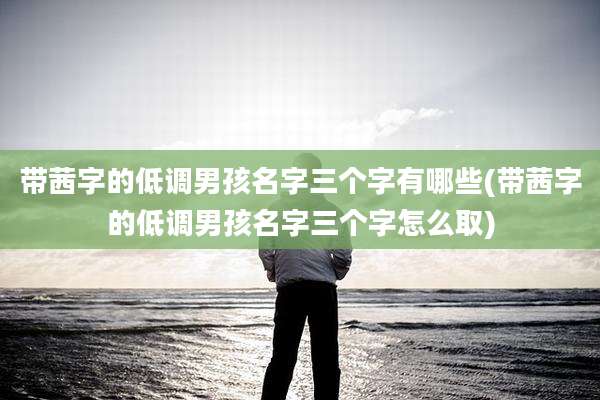 带茜字的低调男孩名字三个字有哪些(带茜字的低调男孩名字三个字怎么取)