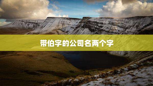 带伯字的公司名两个字