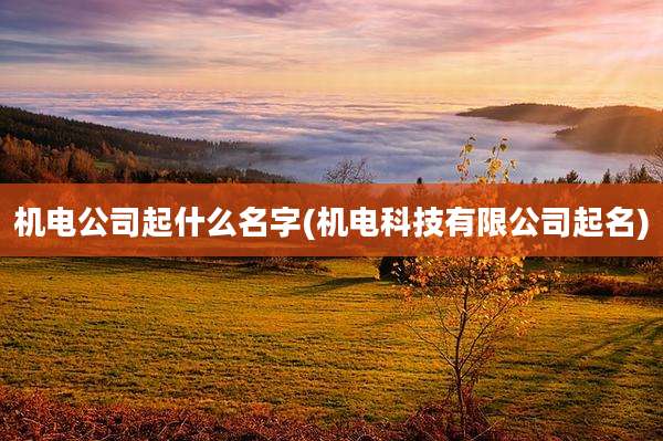 机电公司起什么名字(机电科技有限公司起名)
