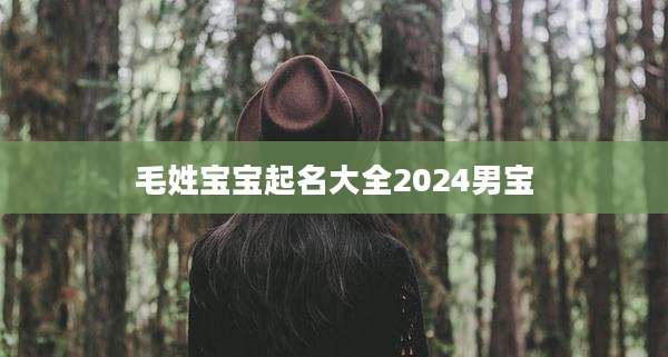 毛姓宝宝起名大全2024男宝