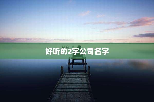好听的2字公司名字