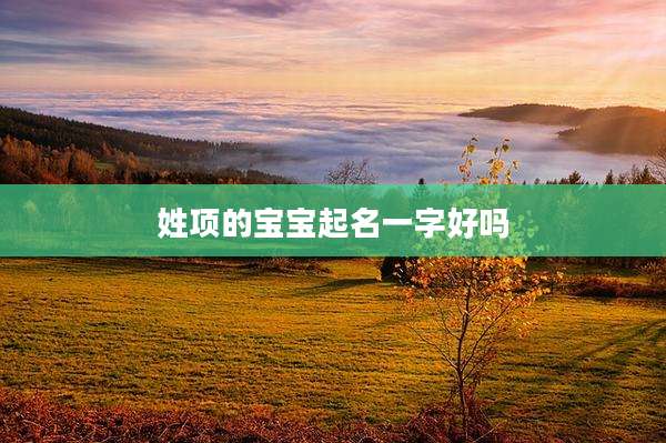 姓项的宝宝起名一字好吗