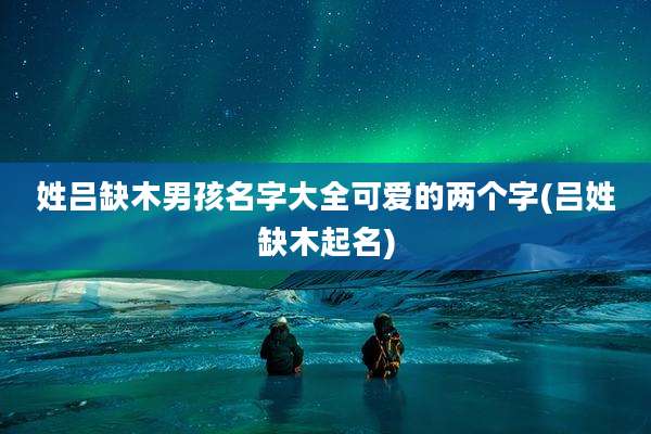 姓吕缺木男孩名字大全可爱的两个字(吕姓缺木起名)
