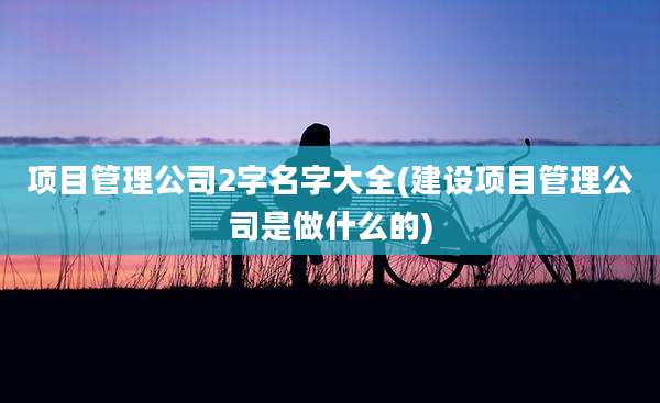 项目管理公司2字名字大全(建设项目管理公司是做什么的)