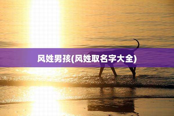 风姓男孩(风姓取名字大全)