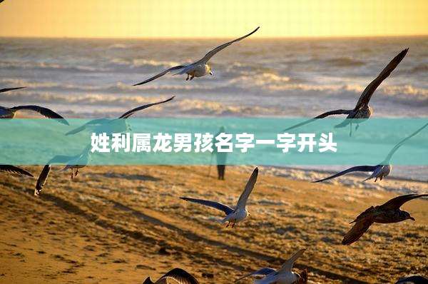姓利属龙男孩名字一字开头